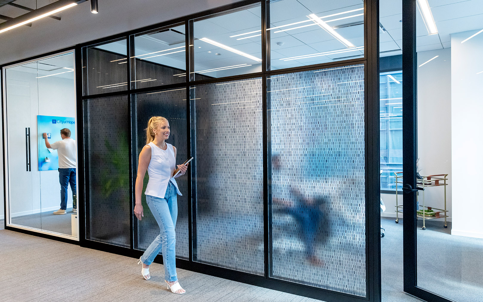 Modular Walls